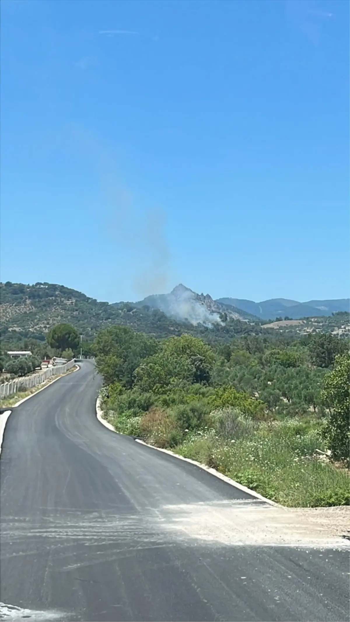 Bergama\'da Orman Yangını Kontrol Altına Alındı