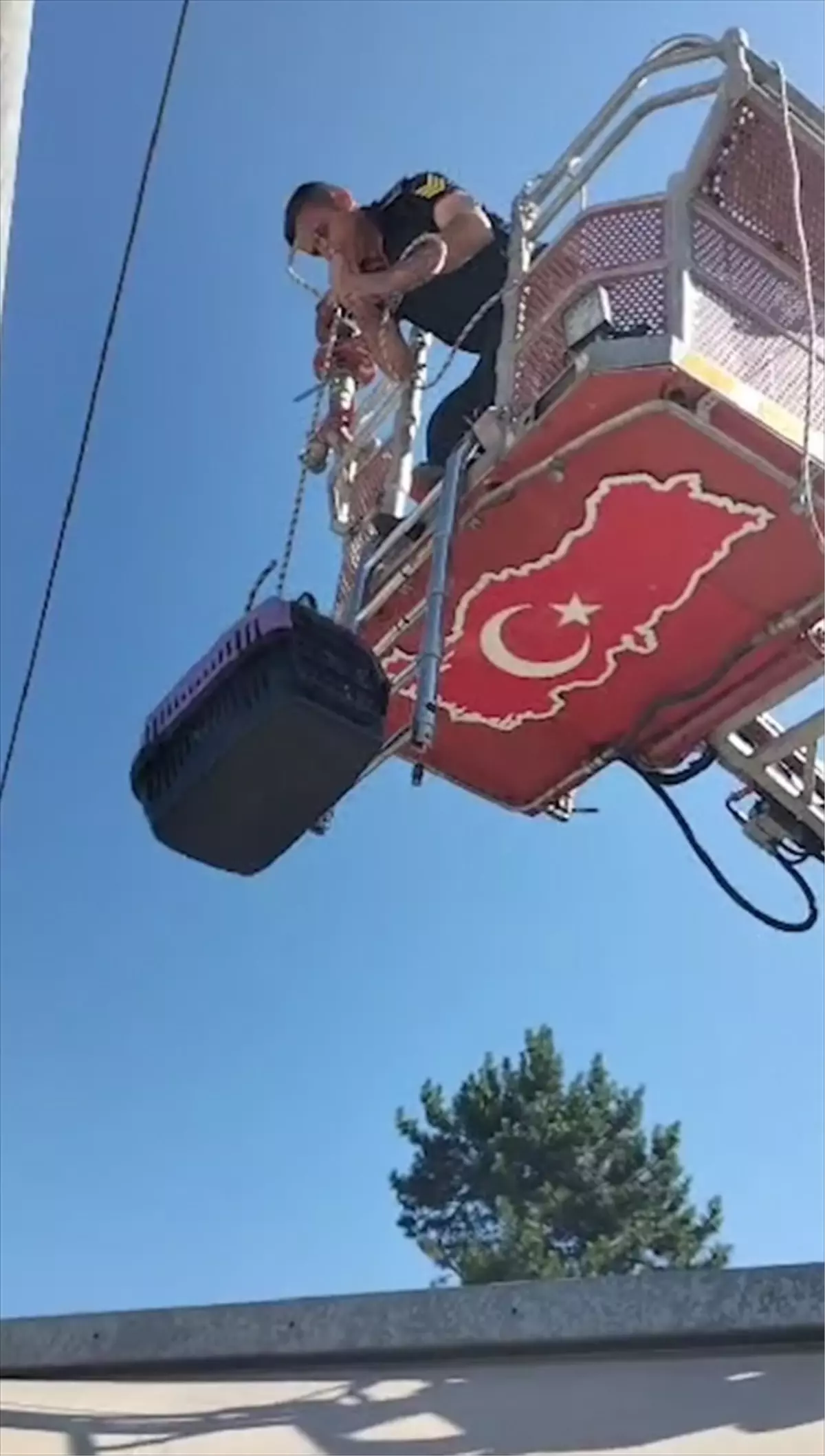 Karabük\'te pazar yerinin çatısında mahsur kalan kediyi itfaiye kurtardı