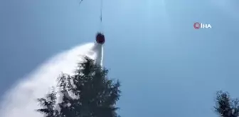 Osmaniye'de Orman Yangını Kontrol Altına Alındı