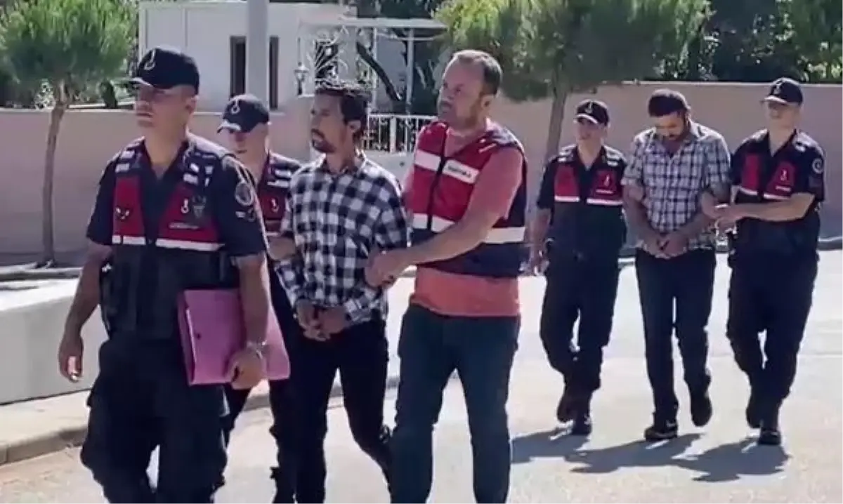 Denizli\'de Besi Çiftliğinden 28 Büyükbaş Hayvan Çalındı, 4 Kişi Yakalandı