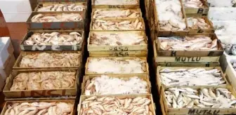 Türkiye'nin Denizlerinde Avlanan Balık Miktarı 4 Yılda Yüzde 32 Azaldı