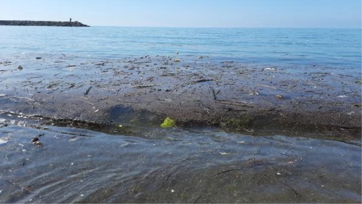 Doğu Karadeniz\'de Sağanaklar Çöp Sorununu Arttırdı