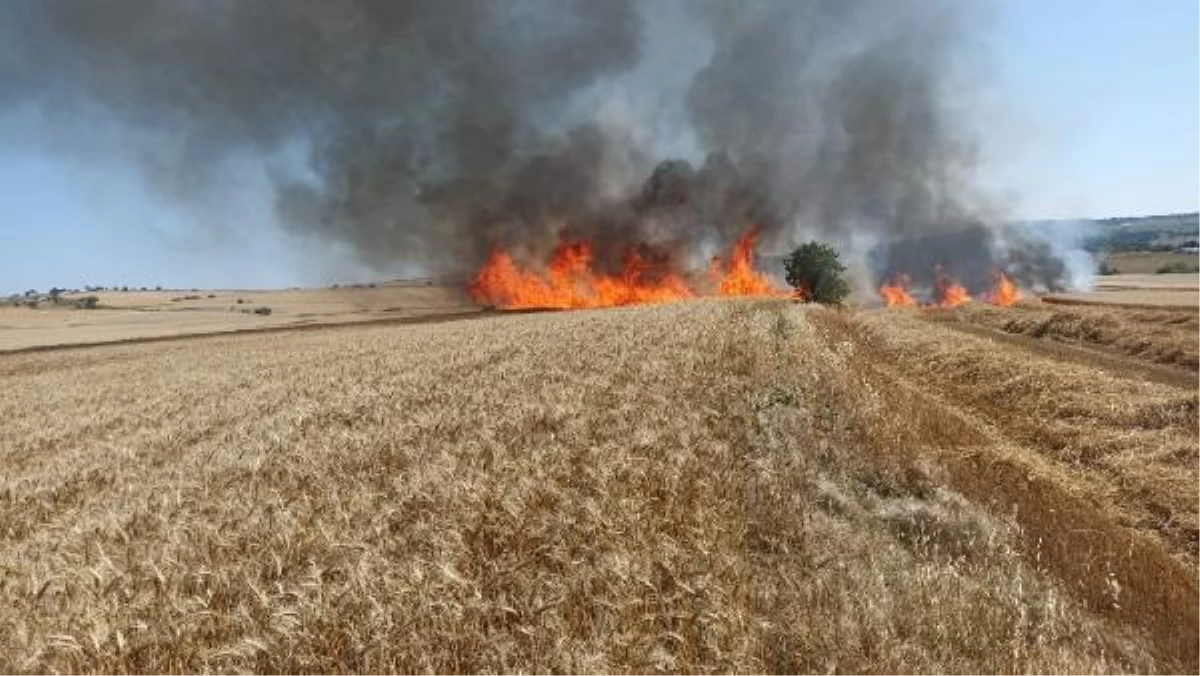 Keşan\'da Buğday Ekili Arazide Yangın