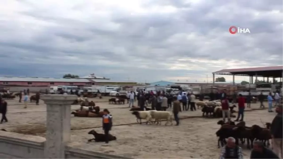 Iğdır Hayvan Pazarında Kurban Bayramı Öncesi Durgunluk