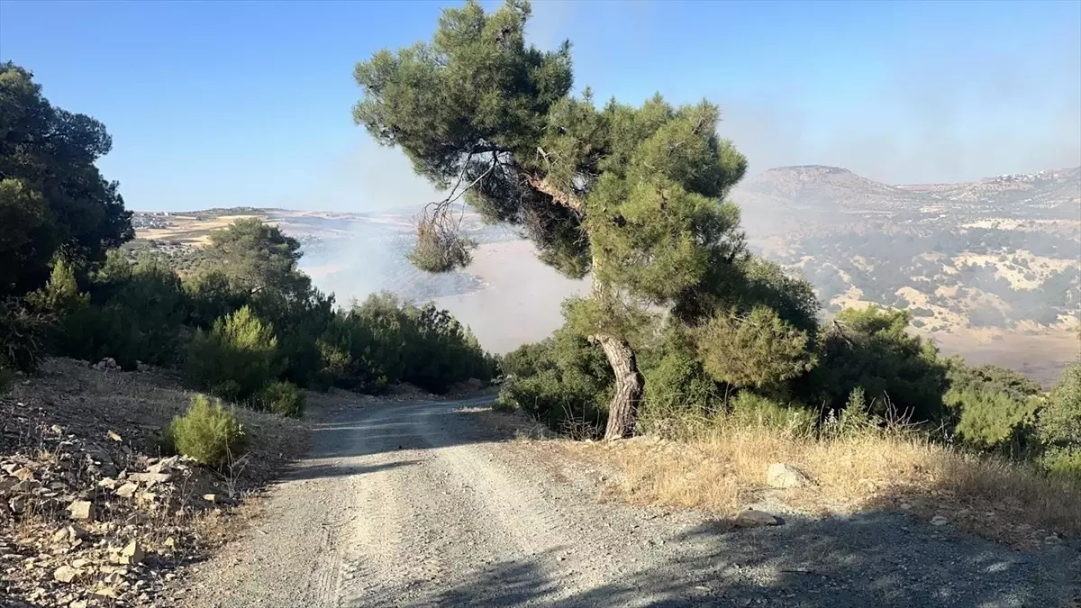 Kilis\'te Orman Yangını Kontrol Altına Alındı