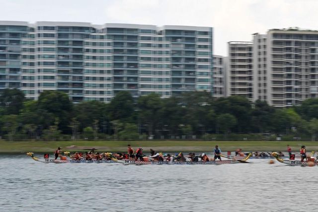 Singapur'da Ejderha Teknesi Yarışı Düzenlendi Singapur'da Ejderha Teknesi Yarışı Düzenlendi