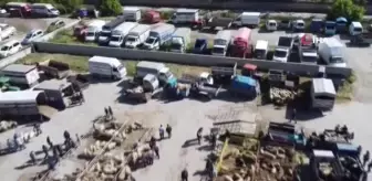Şuhut'ta Kurban Pazarında Hareketlilik Başladı