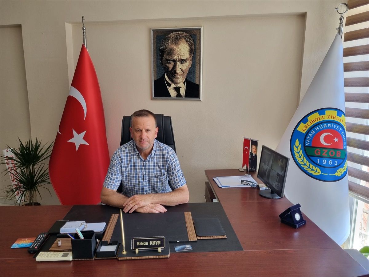Gelibolu\'da TMO Hububat Alımı Başlıyor