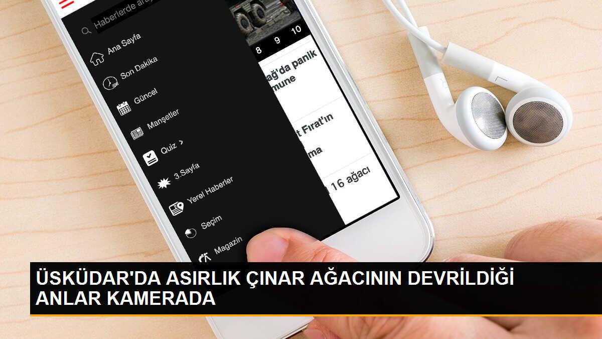 Üsküdar\'da asırlık çınar ağacı caddede devrildi