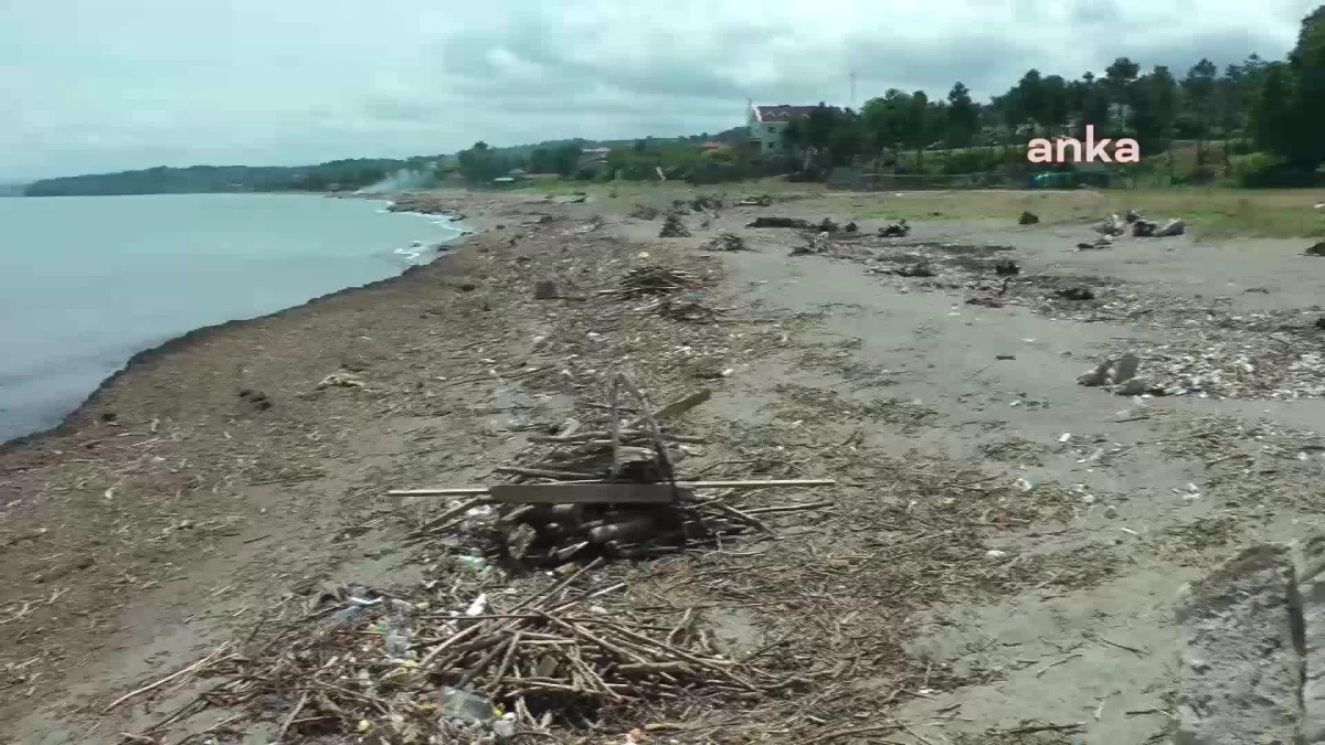 Akçakoca sahili, sağanak yağışlar nedeniyle odun ve çöp yığınlarıyla dolu