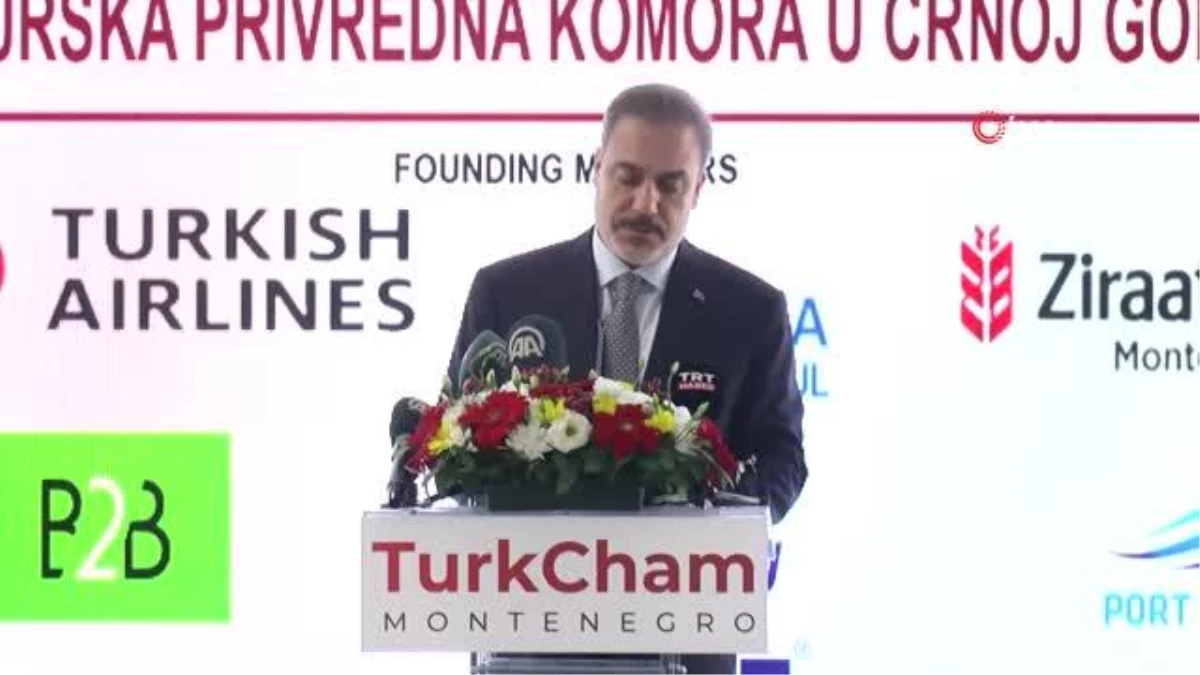 Dışişleri Bakanı Fidan, Karadağ\'da Güneydoğu Avrupa İşbirliği Süreci Zirvesi\'ne katıldı