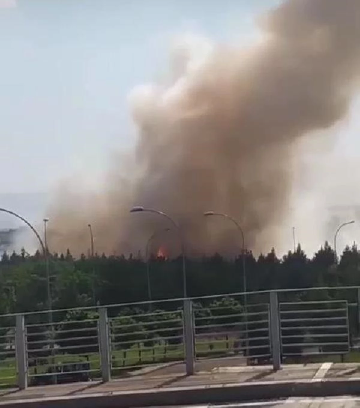 Diyarbakır Havalimanı\'nın Yanındaki Ormanda Yangın Çıktı