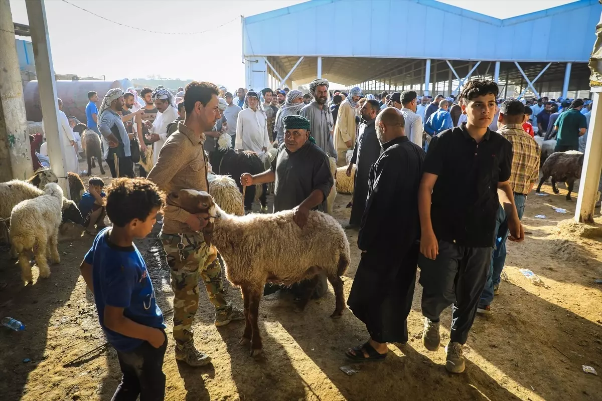 Bağdat\'ta kurban pazarlarında pahalılık şikayeti