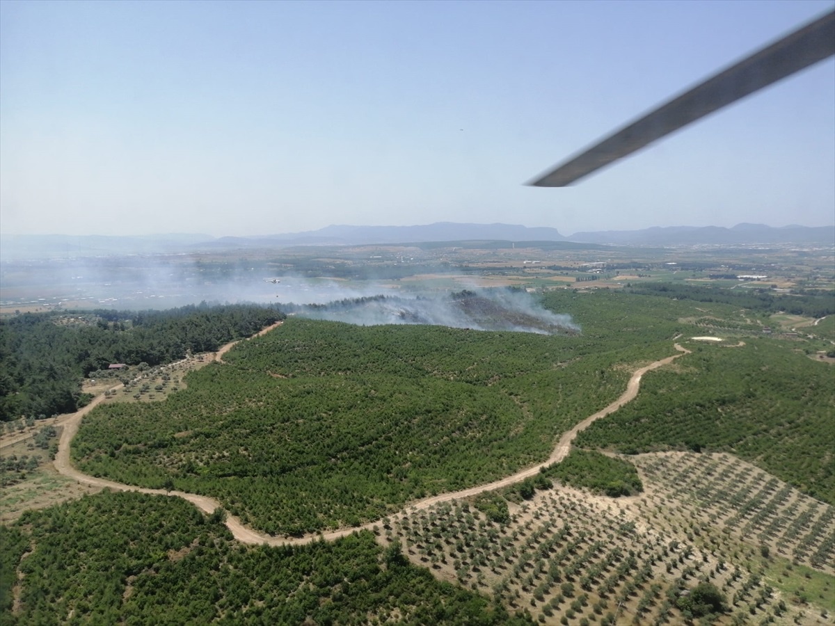 İzmir Buca\'da Orman Yangını Kontrol Altına Alındı