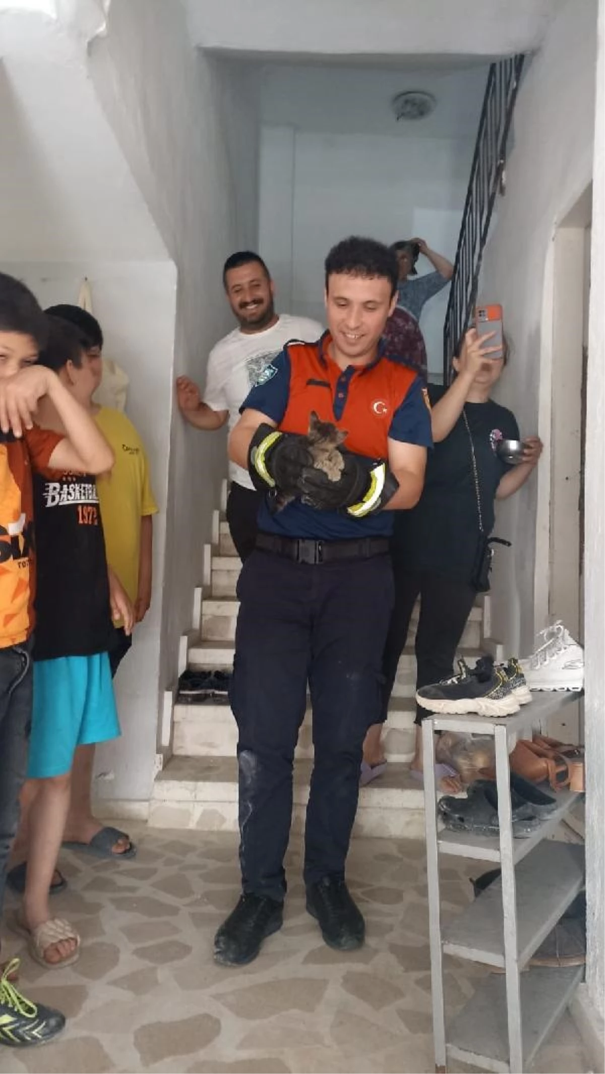 Ünye\'de mahsur kalan yavru kedi ve baykuşlar itfaiye ekipleri tarafından kurtarıldı