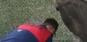 Zonguldak'ta otomobilin motor kısmına giren yılan itfaiye ekiplerince çıkarıldı