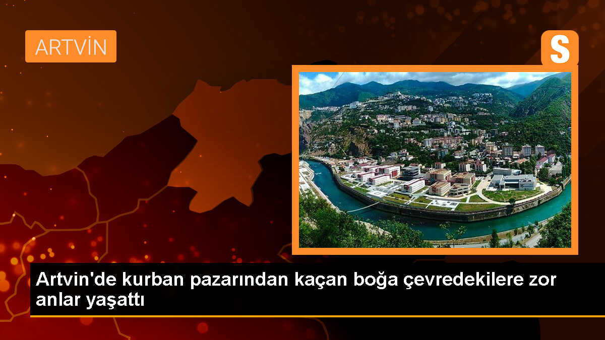 Artvin Hopa\'da kaçan boğa paniğe neden oldu