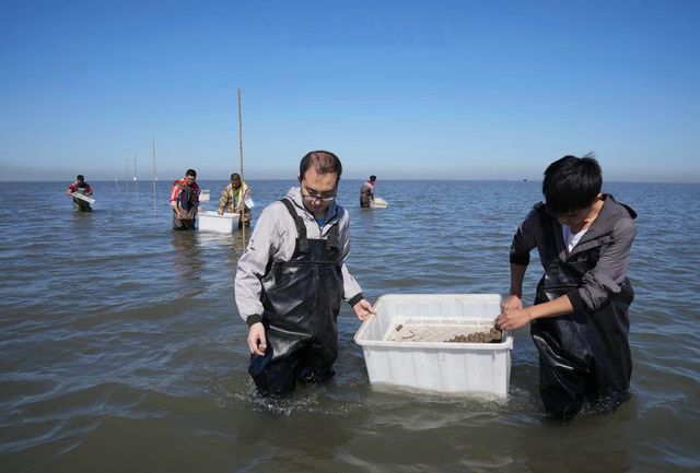 Çin'de Deniz Ekolojisini İyileştirmek İçin Deniz Çayırı Ekiliyor Çin'de Deniz Ekolojisini İyileştirmek İçin Deniz Çayırı Ekiliyor