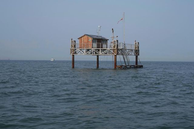 Çin'de Deniz Ekolojisini İyileştirmek İçin Deniz Çayırı Ekiliyor Çin'de Deniz Ekolojisini İyileştirmek İçin Deniz Çayırı Ekiliyor