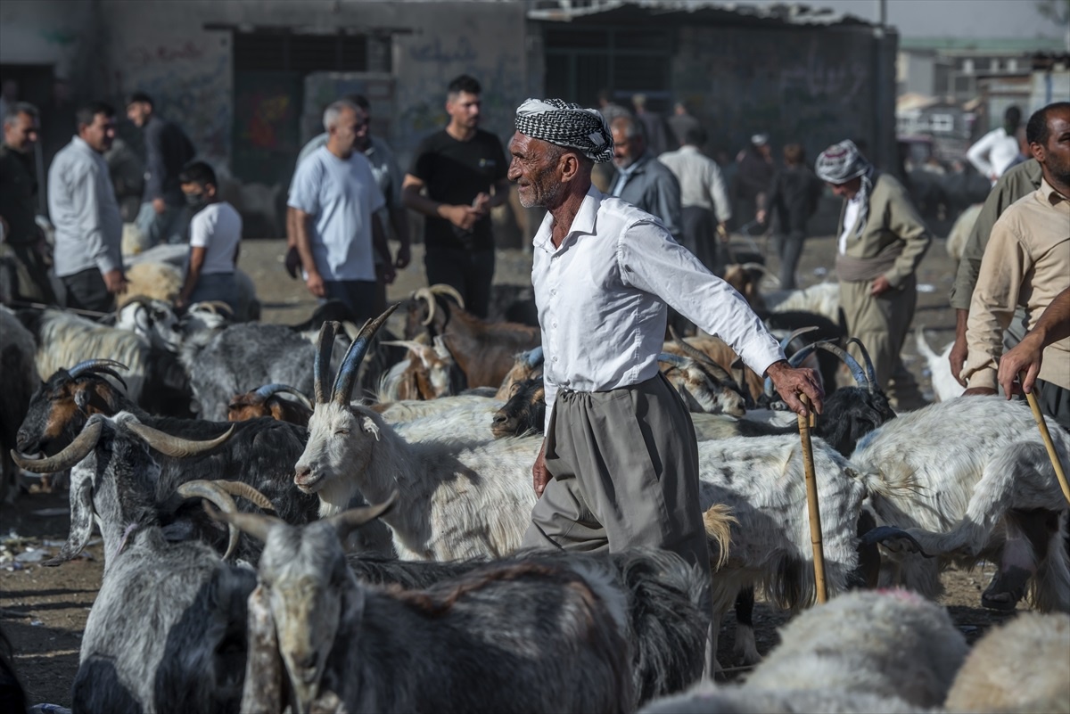 Erbil\'deki hayvan pazarında fiyatlar yüksek