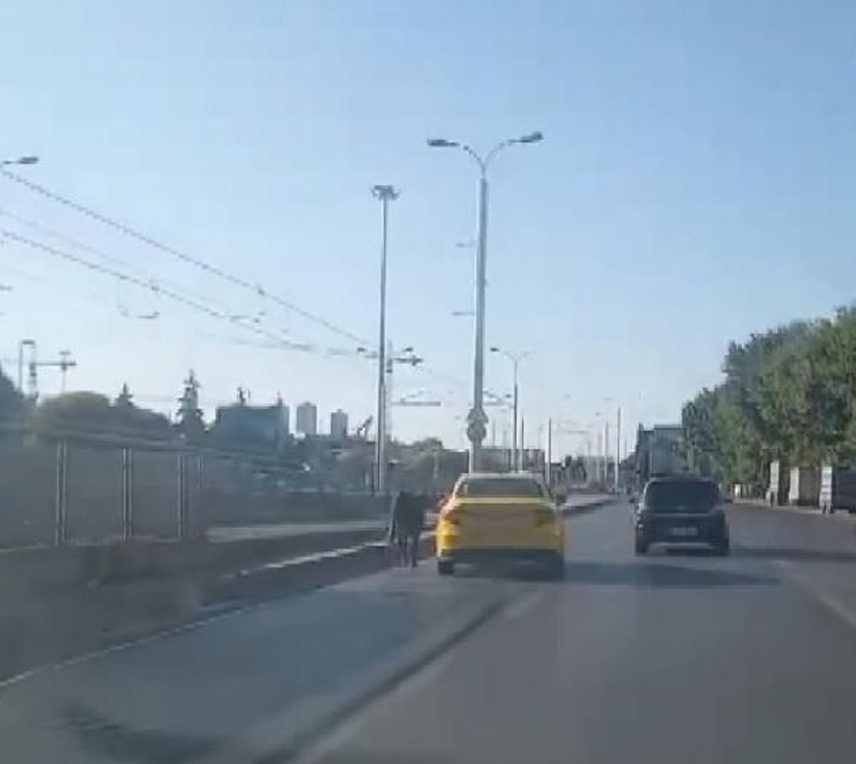 Güngören\'de kaçan boğa trafiği birbirine kattı