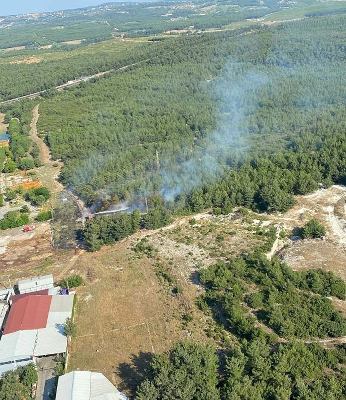 İzmir Buca\'da çıkan orman yangını 40 dakikada kontrol altına alındı