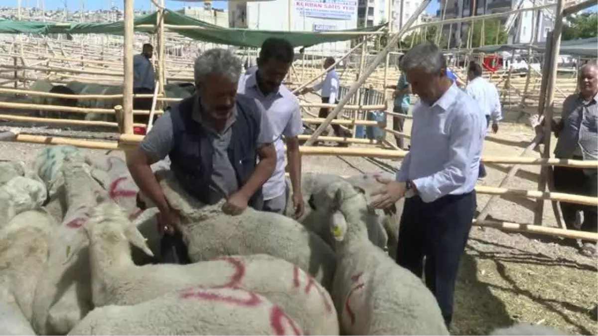 Şahinbey\'de Kurban Satış ve Kesim Yerleri Belirlendi