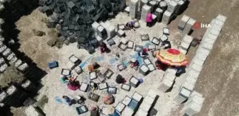 Sarımsak tarlada 15, markette 40 lira