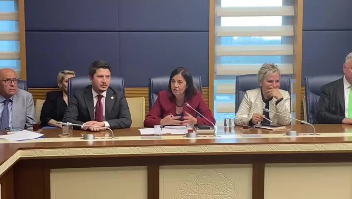 CHP Milletvekili Jale Nur Süllü, AB Uyum Komisyonu\'nda öncelikli gündem konularını açıkladı
