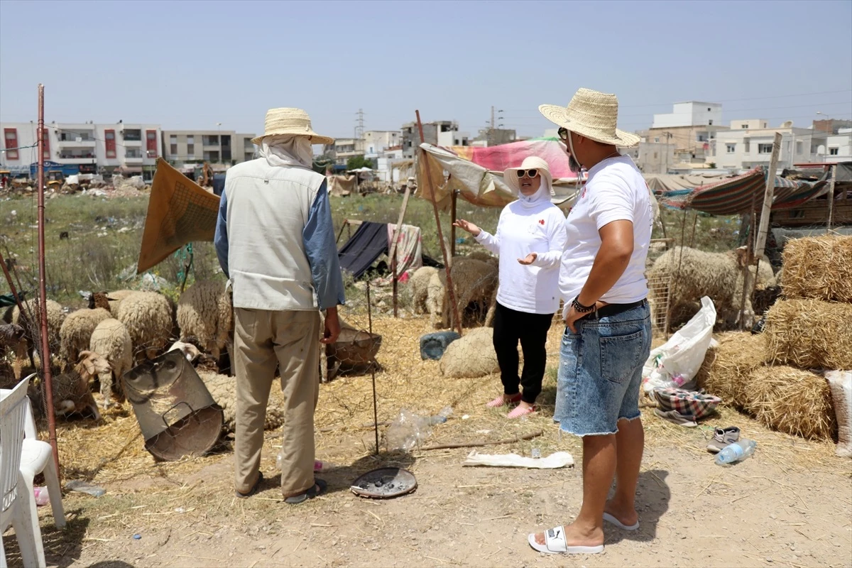 Tunus Malı Tüketim Derneği, ihtiyaç sahibi ailelere kurbanlık sağlıyor