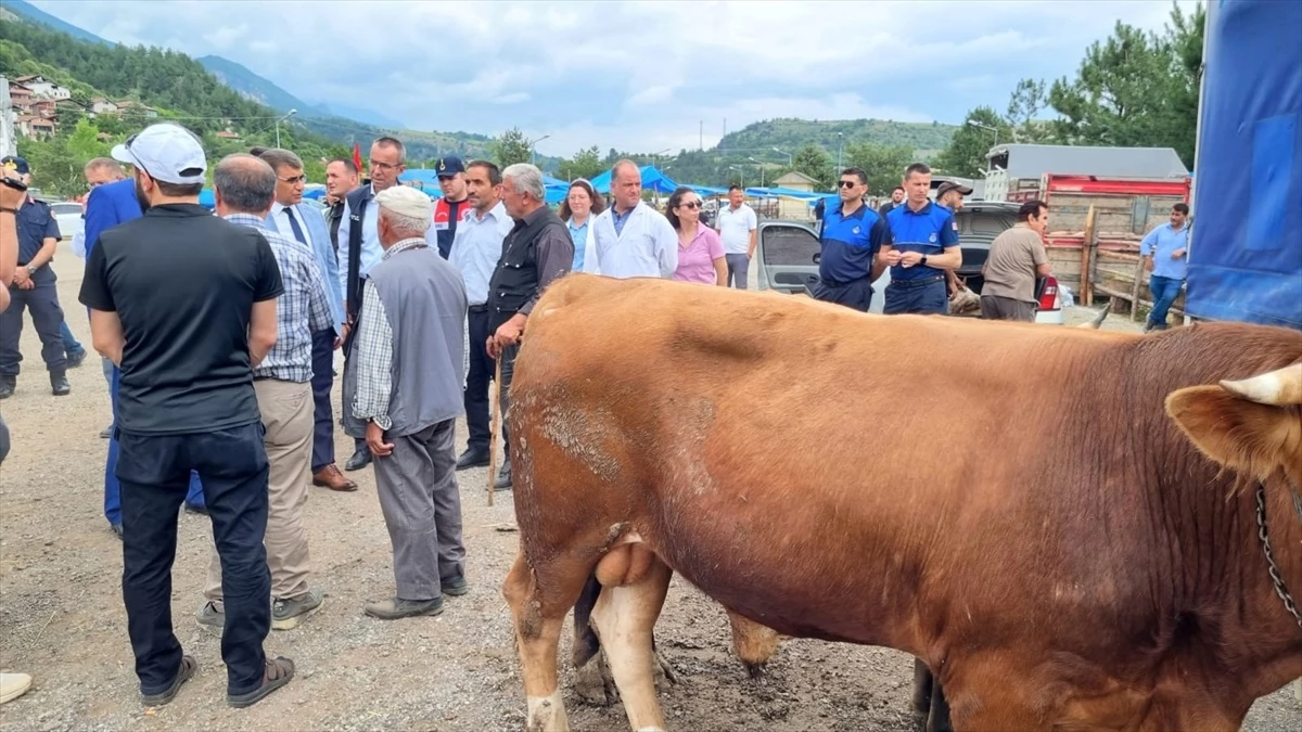 Karabük Valisi Fuat Gürel, Kurban Bayramı arifesinde hayvan pazarını ziyaret etti