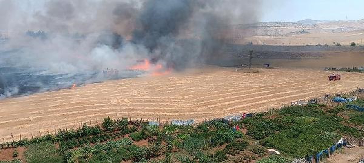 Siirt\'te Tarlada Çıkan Anız Yangını Söndürüldü