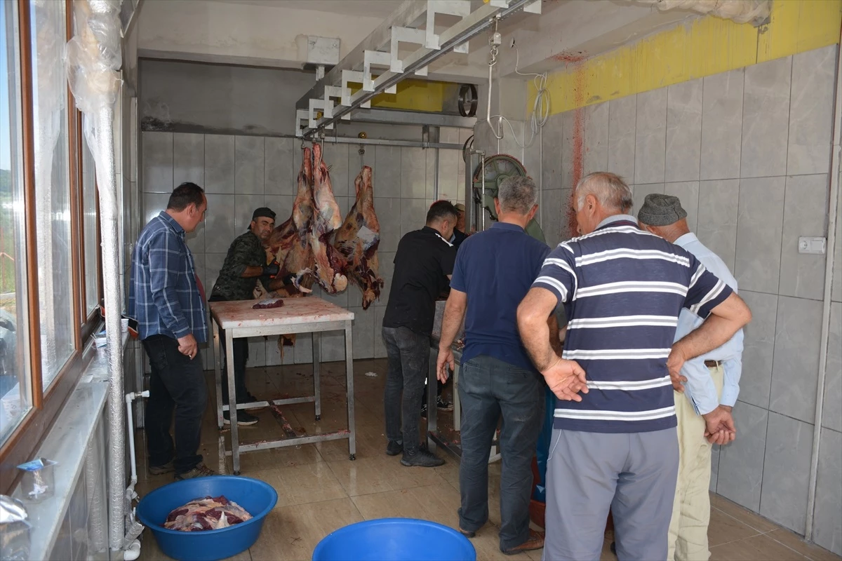 Tokat Başçiftlik Belediyesi Mezbahanede Kurban Kesim Hizmeti Sunuyor