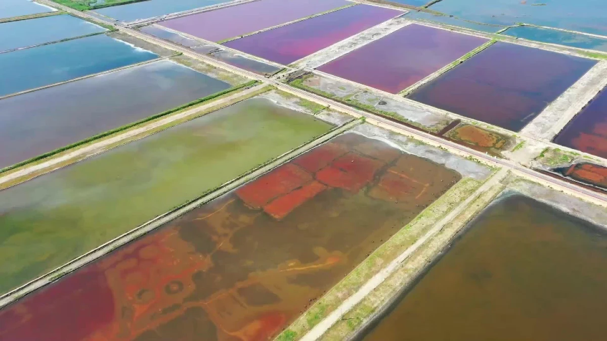 Çin\'in Ölü Denizi Olarak Bilinen Tuz Gölünden Renkli Görüntüler