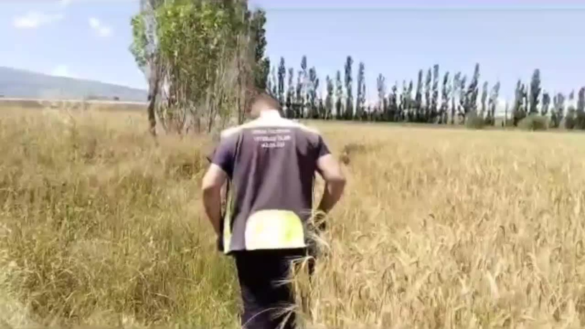 Çorum\'da kaçan kurbanlık uyuşturucu iğne ile yakalandı