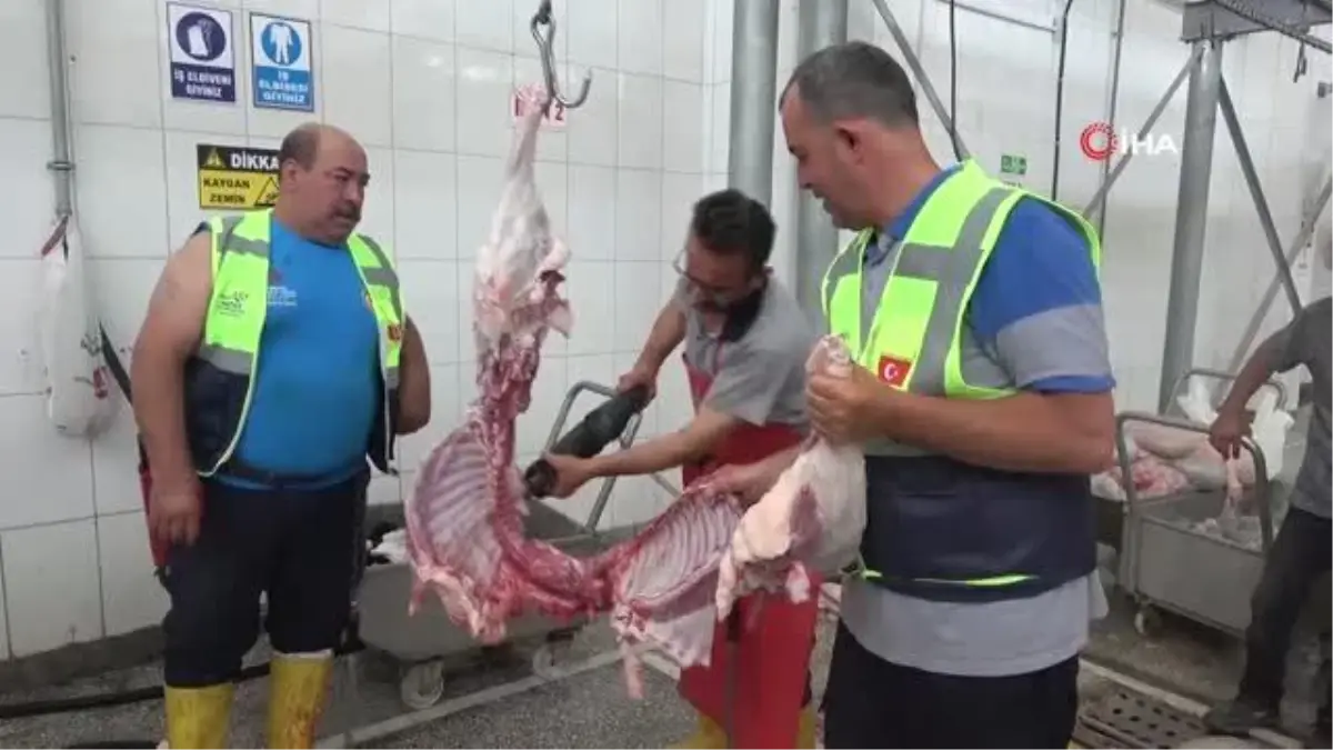 Enkaz kent Hatay\'da mezbahaneler boş kaldı