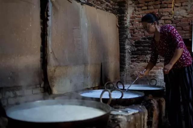 Nepal Sakinleri Ulusal Çeltik Günü Öncesinde Yoğurtlarını Mayalıyor