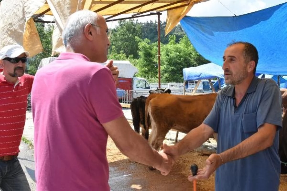 Ordu\'da Kurban Bayramı\'nda Sıkı Pazarlıklar