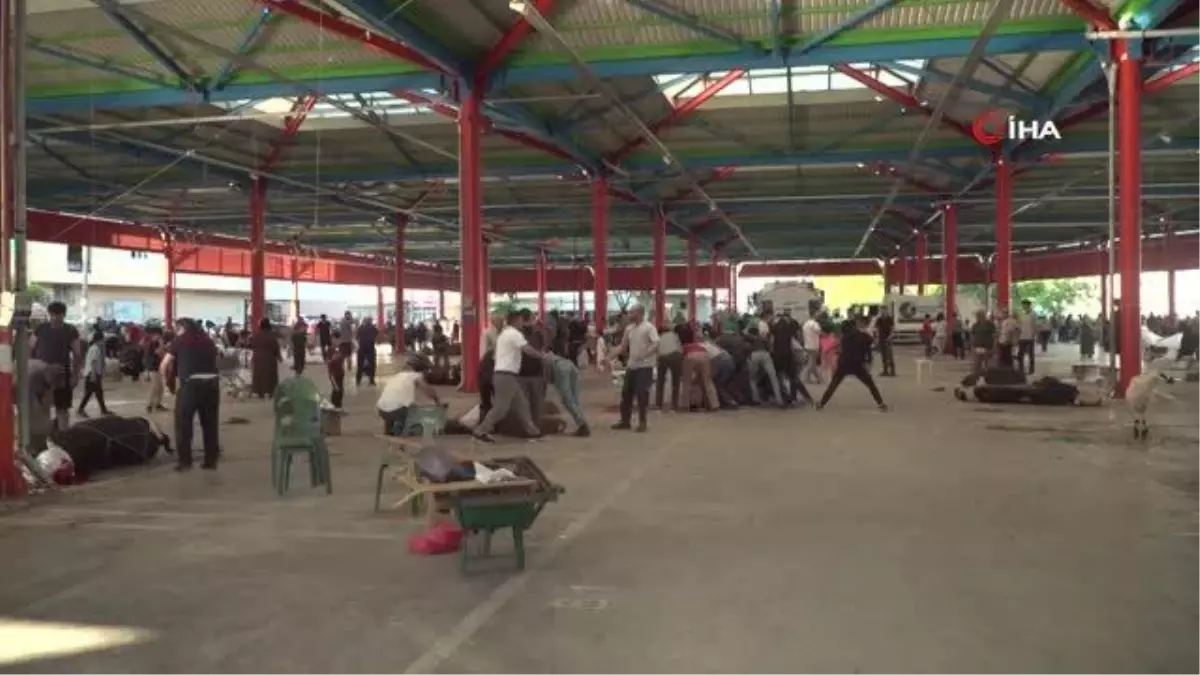 Osmangazi'de Hijyenik Kurban Kesimi