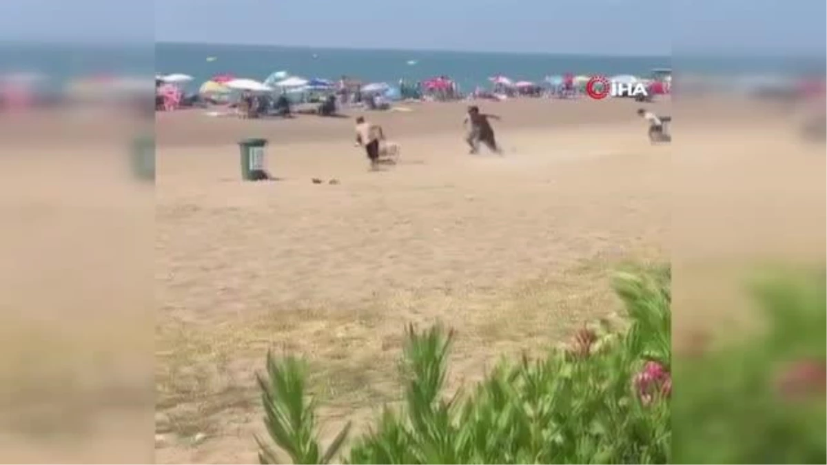 Sahibinden kaçan kurbanlık kuzu plajı birbirine kattı... O anlar kamerada