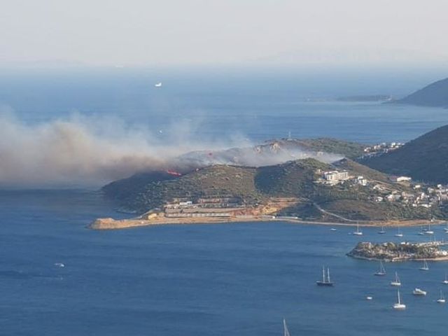 Muğla'nın Datça ilçesinde ormanlık alanda yangın Muğla'nın Datça ilçesinde ormanlık alanda yangın