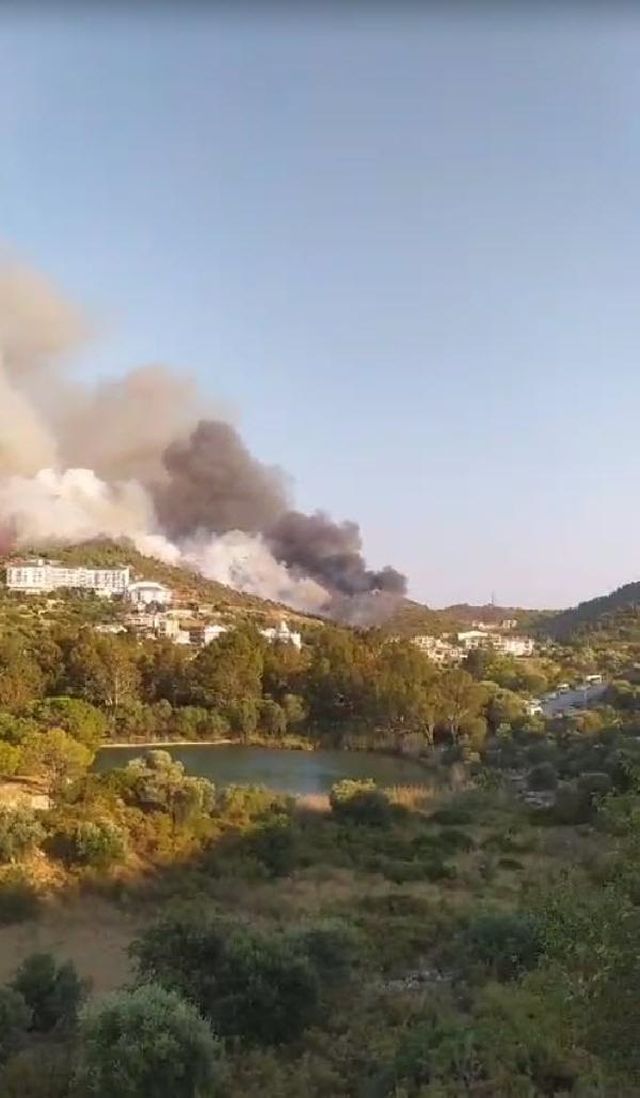 Muğla'nın Datça ilçesinde ormanlık alanda yangın Muğla'nın Datça ilçesinde ormanlık alanda yangın