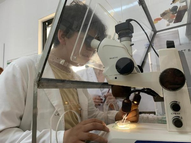 Rize yaylalarında kardan 'mikroplastik' çıktı Rize yaylalarında kardan 'mikroplastik' çıktı