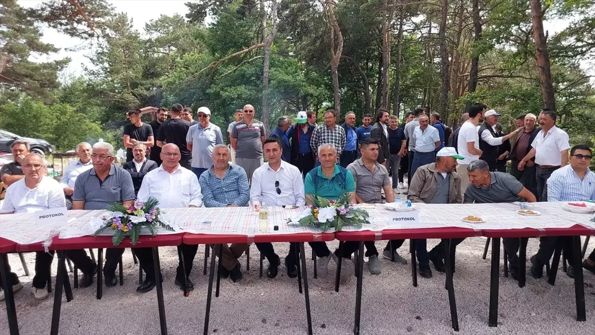 Tokat\'ta Geleneksel Yayla Dağı Yemişen Piknik Şenliği Düzenlendi