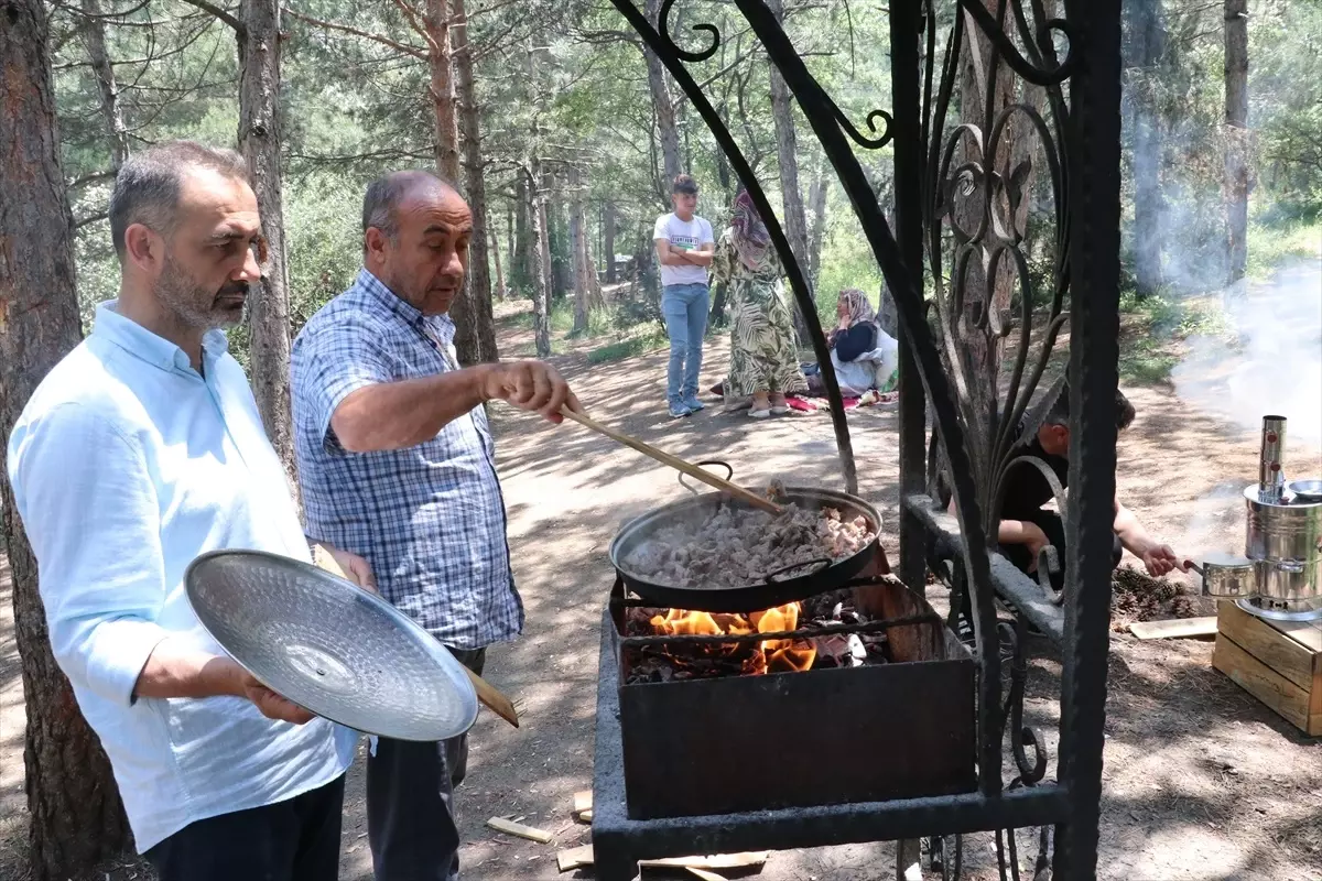 Yozgat\'taki Çamlık Milli Parkı, Kurban Bayramı tatilinde piknik yapmak isteyenleri ağırlıyor