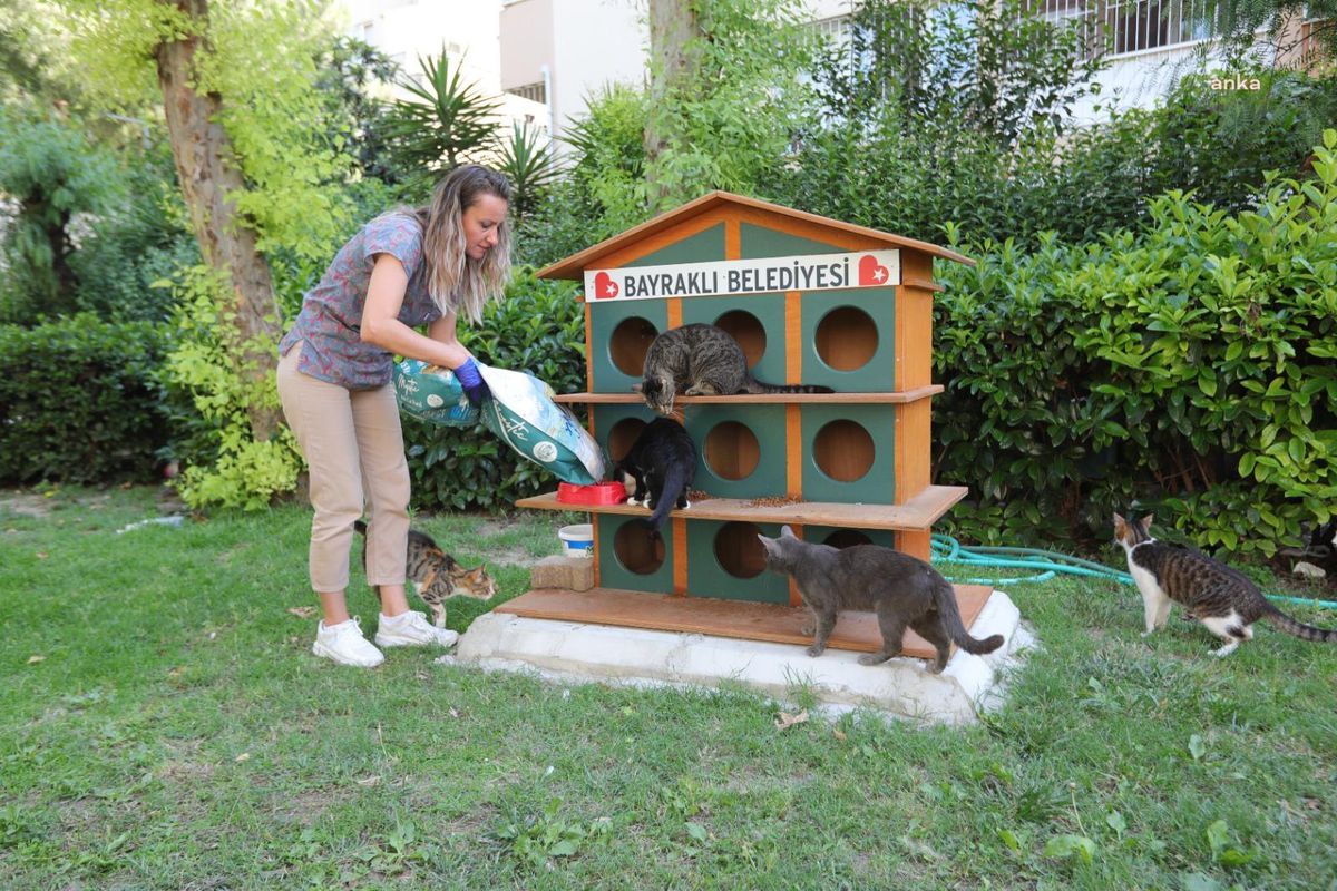 Bayraklı Belediyesi Can Dostları İçin Mama ve Su Dağıtımı Yapıyor