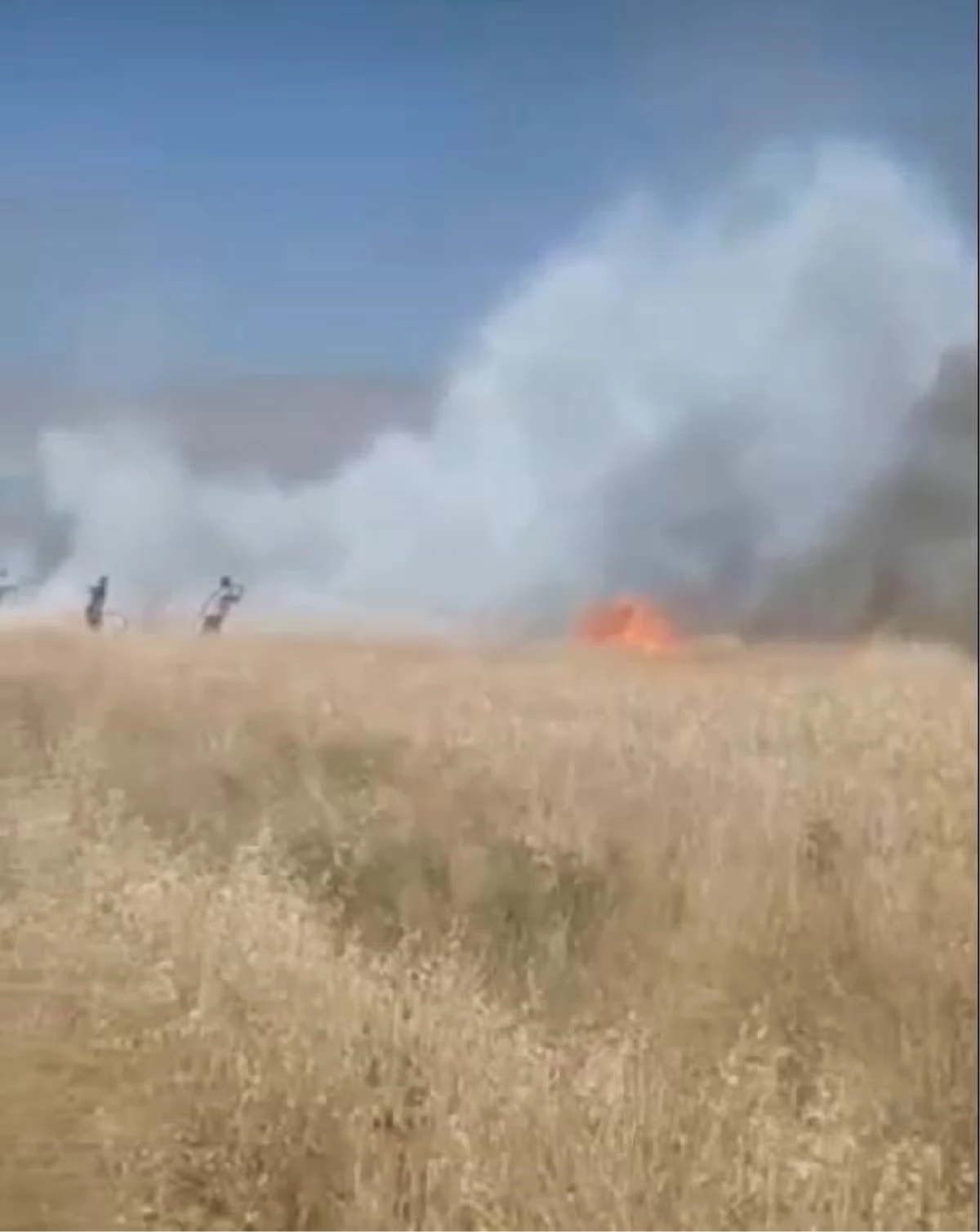Diyarbakır Hani\'de Buğday Ekili Arazide Yangın