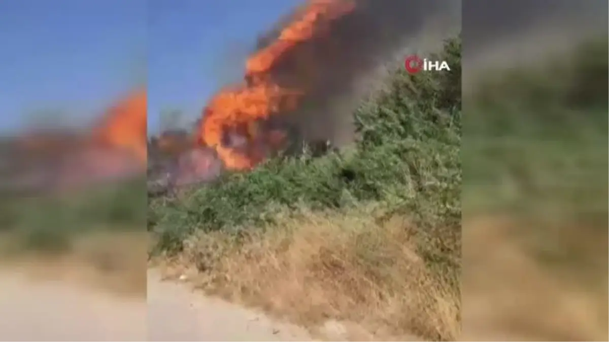 Fırat Nehri Kenarındaki Yangın Ormanlık Alana Zarar Verdi