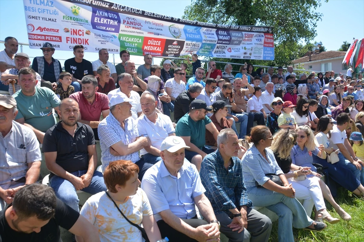 Düzce\'nin Akçakoca ilçesinde Geleneksel Beyören Köyü Karakucak Bayram Güreşleri düzenlendi