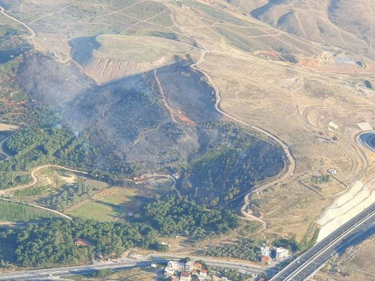 İzmir\'de orman yangını (2)